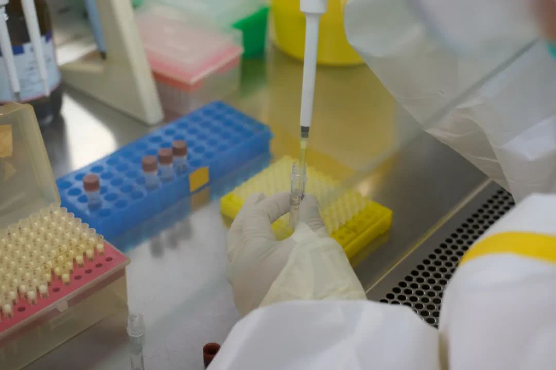 核酸檢測(cè)又降價(jià)！多地增設(shè)24小時(shí)檢測(cè)服務(wù)機(jī)構(gòu)